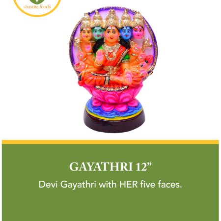 Gayathri (12")